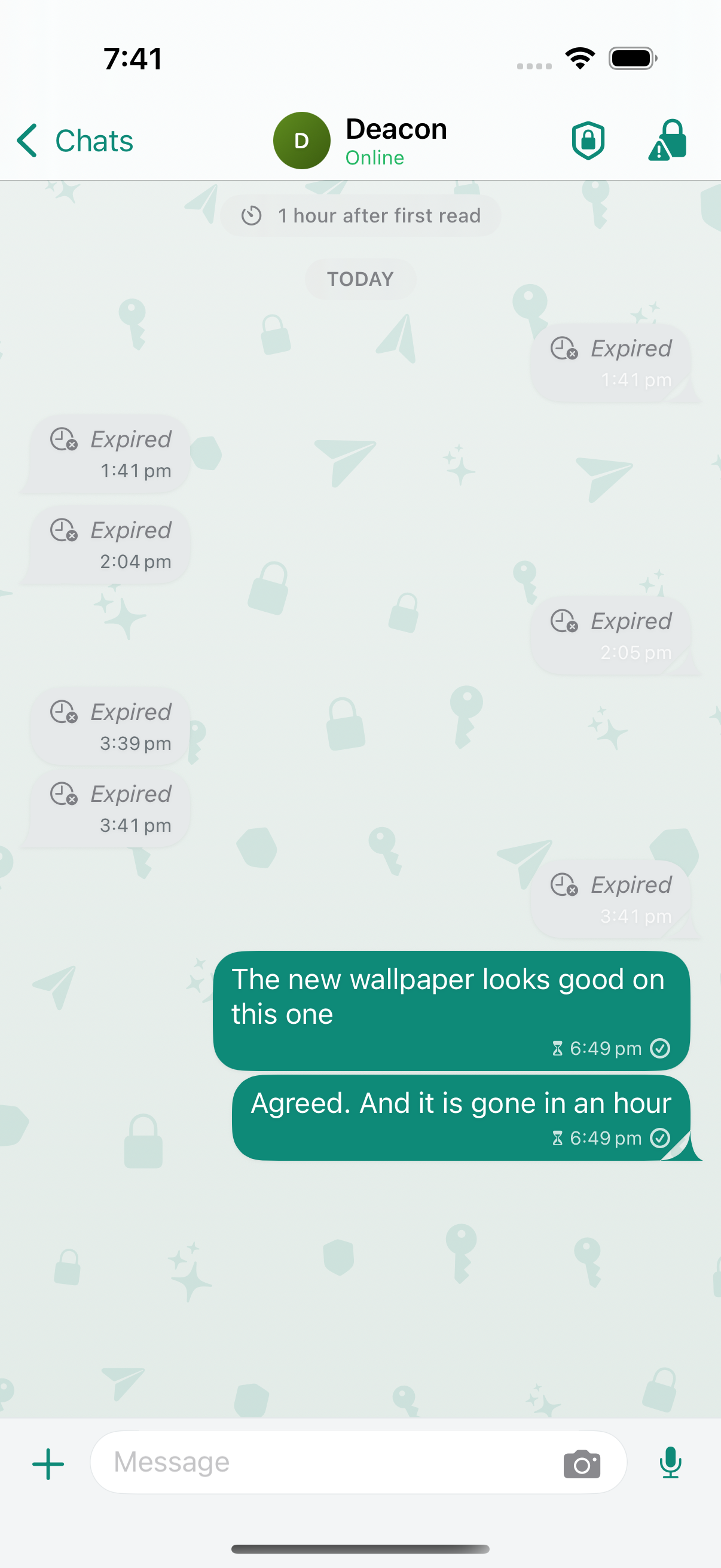 Kyphra chat: earlier messages already expired, two still visible for one hour after first read.